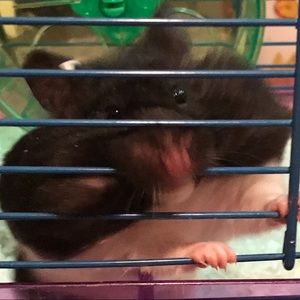 Meet your Posher, Andy